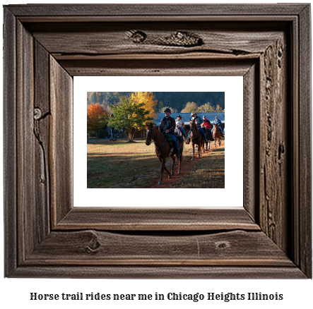 horse trail rides near me in Chicago Heights, Illinois